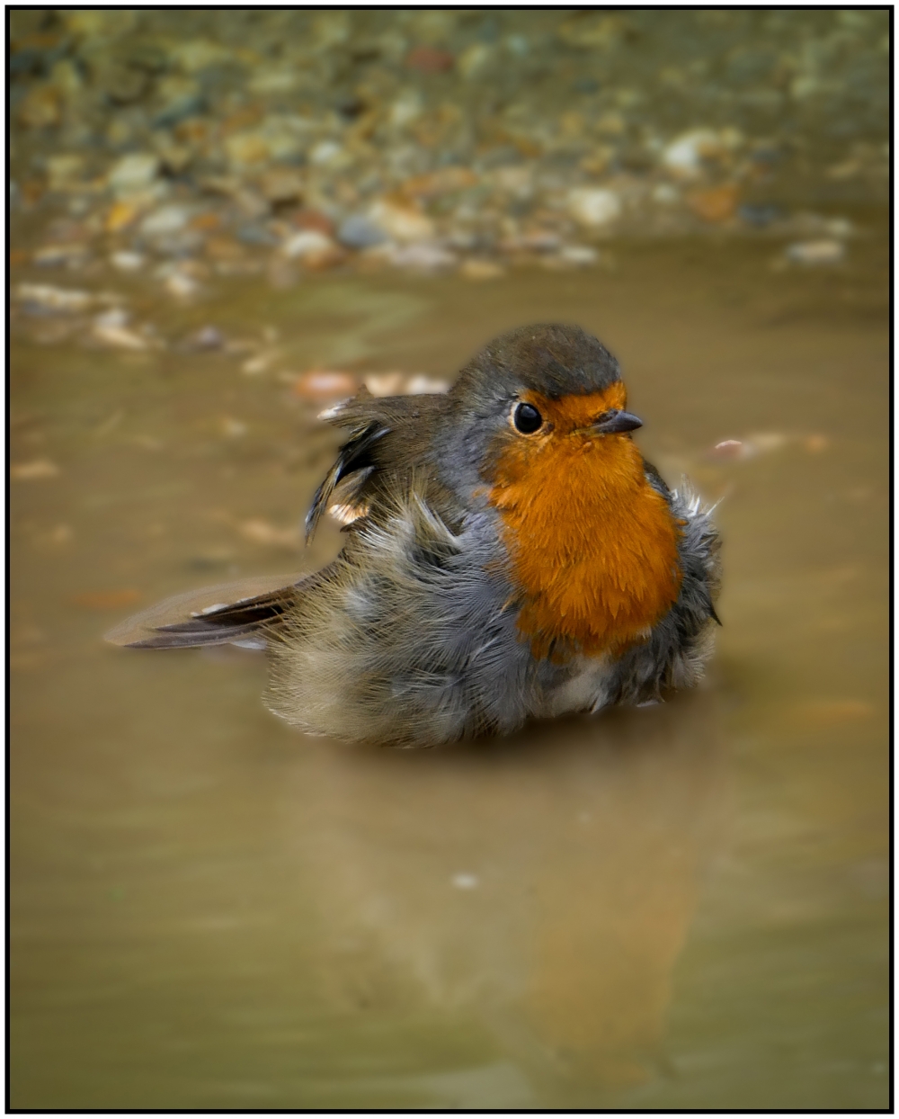 2nd Bathtime by Karen Gowen