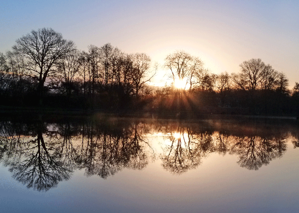 Fen lake