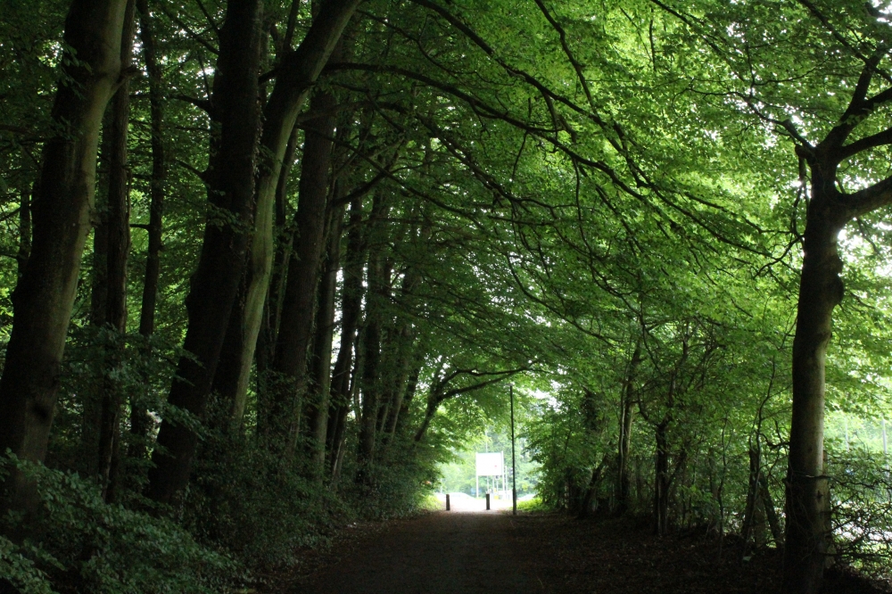 Green Tunnel