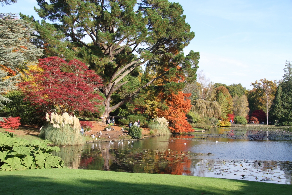 Sheffield Park