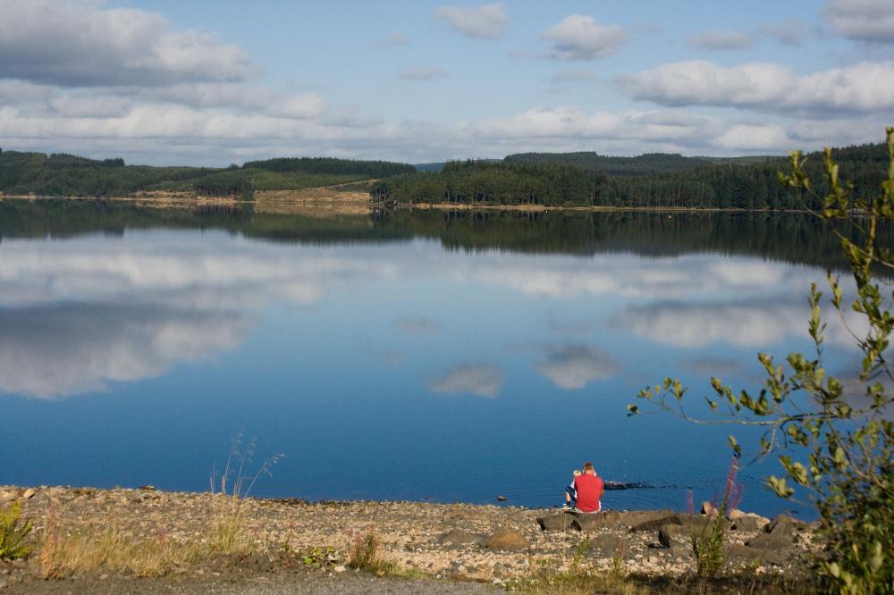 Natural mirror