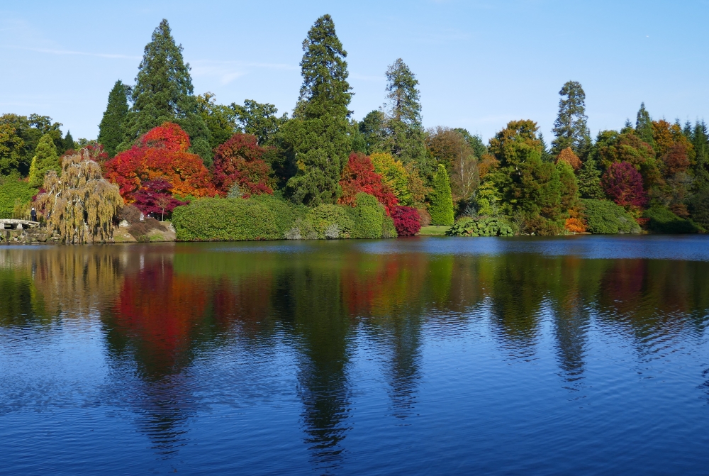 Sheffield Park 16